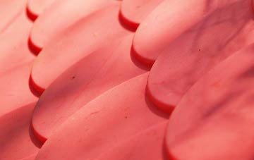 Dounie plastic roof costs