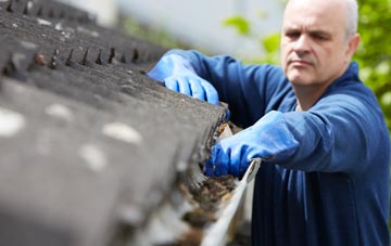 cleaning and inspecting Dounie roofs