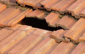 roof repair Dounie, Highland