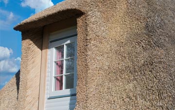 Dounie thatch roof disadvantages